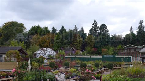 arboretum kilquade reviews|Arboretum Garden Centre